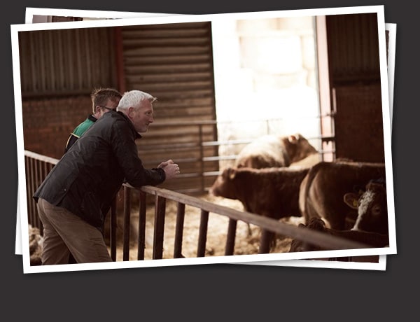 Scott Brothers at the Farm