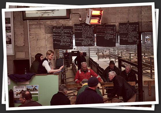 Scott Brothers at the Mart