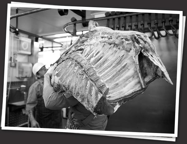 Scott Brothers Side of Beef